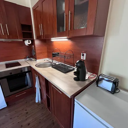 Apartment Mountain Cedar Pine 1 Bedroom Near Gondola Bansko