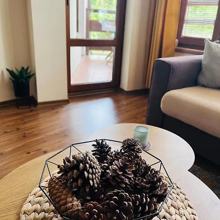 Mountain Cedar Pine 1 Bedroom Near Gondola Banszko