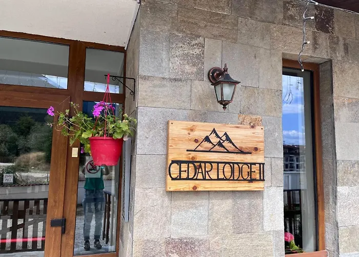 Mountain Cedar Pine 1 Bedroom Near Gondola Apartment Bansko